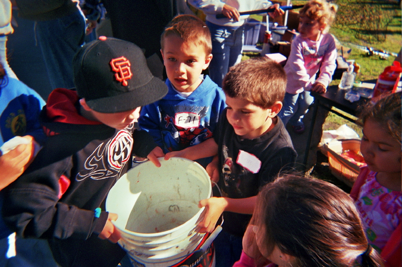 Bucket o Fish!