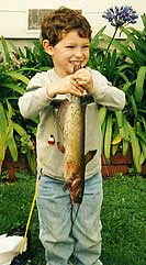 Junior's Catfish