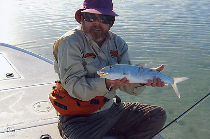 A stout bonefish for the morning's cast!