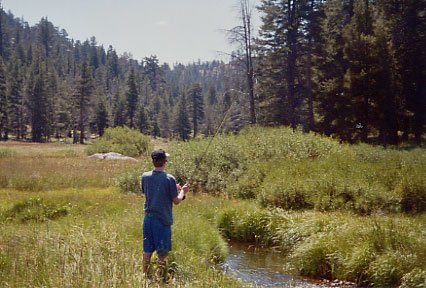 Red Lake Creek Flyfishing