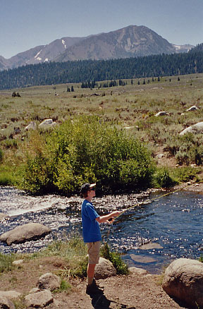 Mammoth Creek Fly Fishing