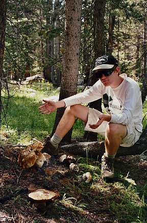 Mushroom Gigante