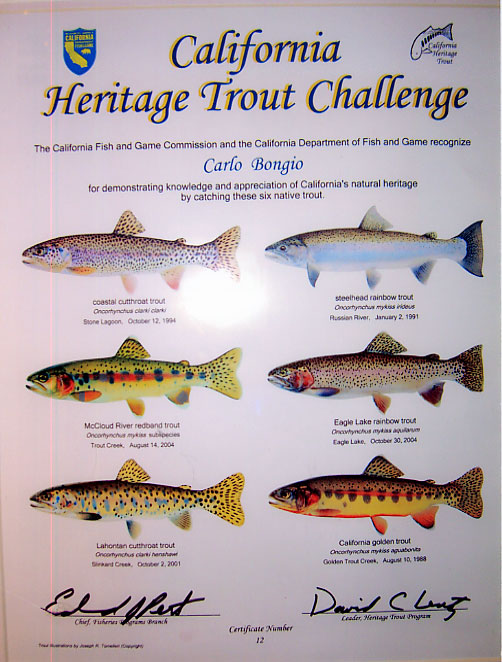 California Heritage Trout  - Carlo Bongio