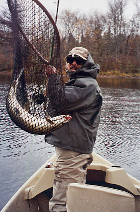 Carlo's Flambeau River Muskie on the fly