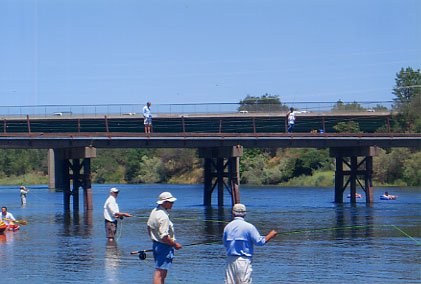 Staff at the Bridge