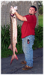 Danny's 56 inch sturgeon