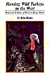 Hunting Wild Turkeys in the West